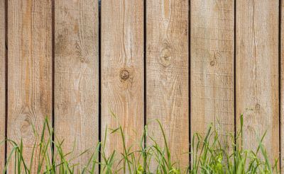 non-pressure treated wood fence outside