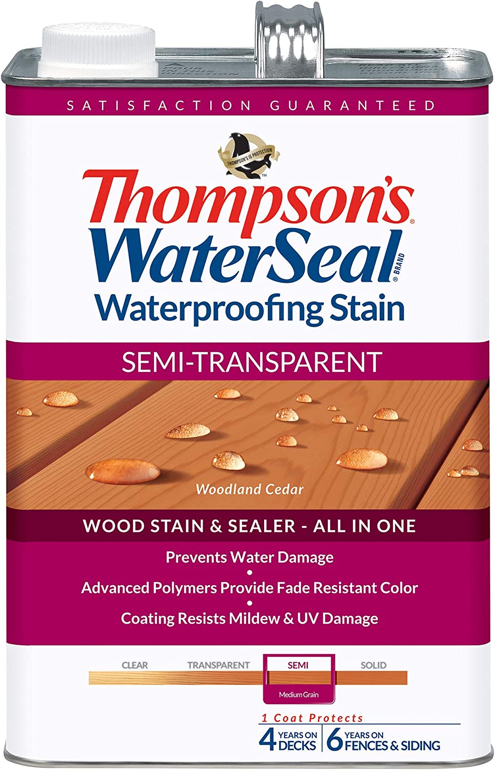 Thompsons Water-Seal Semi-Transparent Waterproofing Stain review