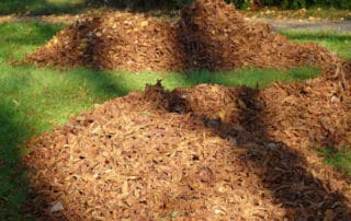 chipper shredder mulch