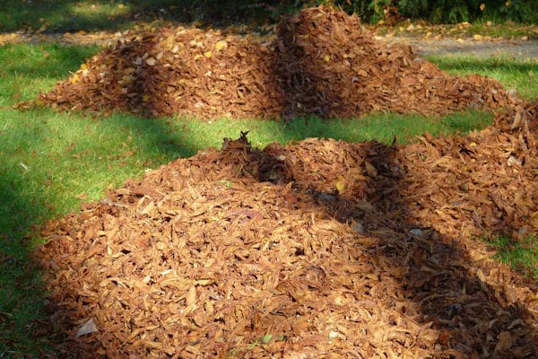 chipper shredder mulch