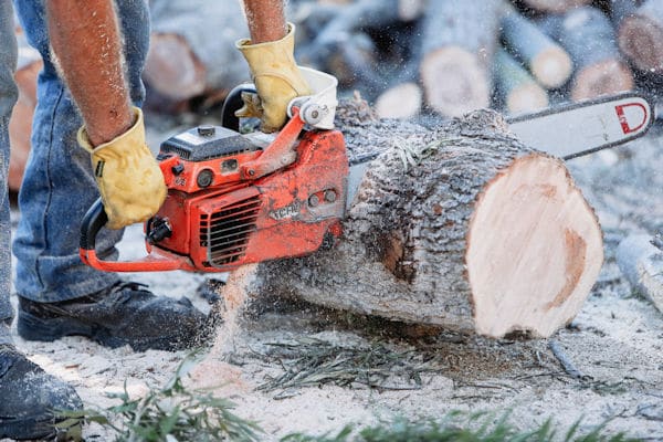 chainsaw cutting firewood